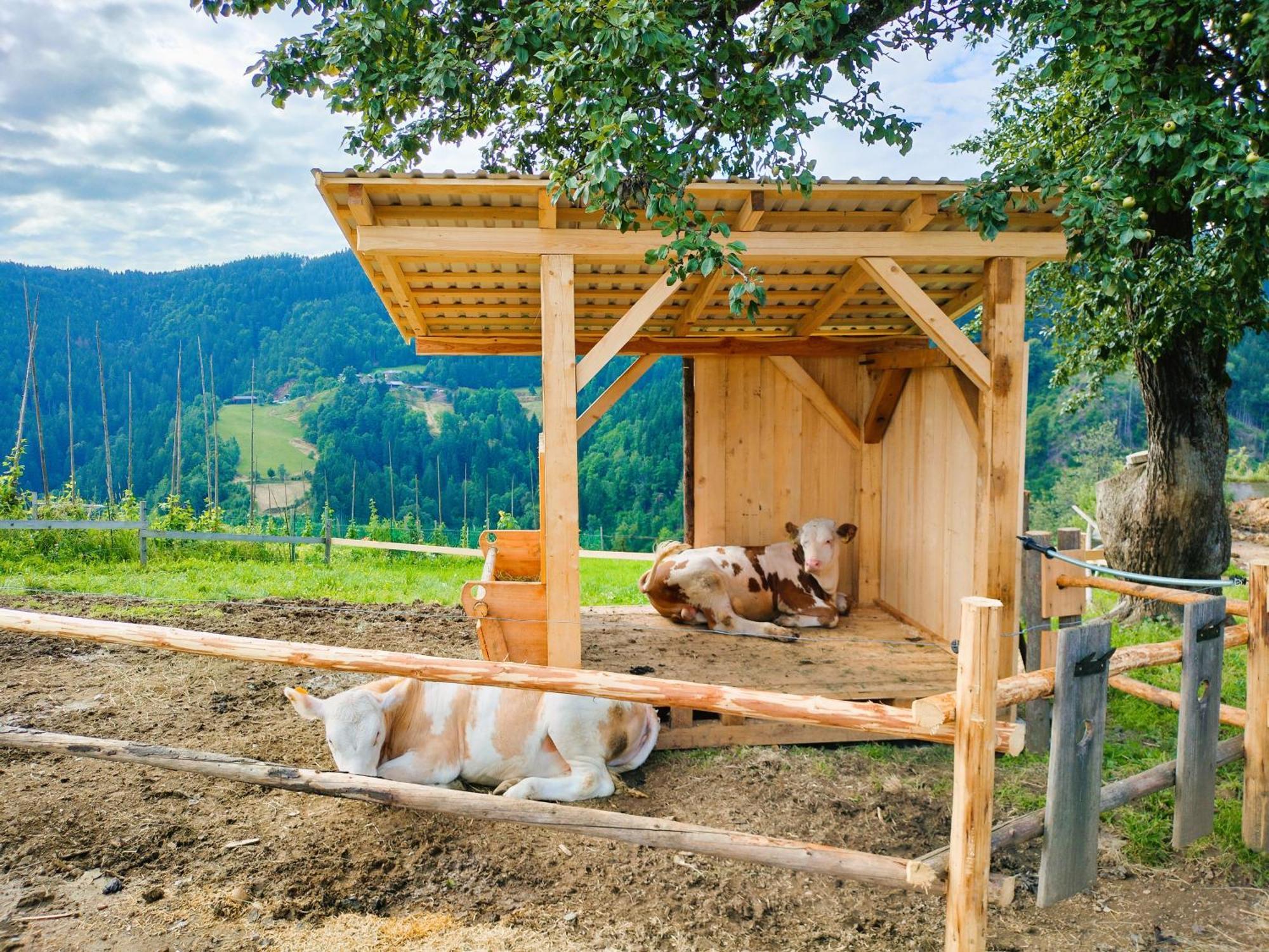 Apartments Organic Tourist Farm Gradisnik Prevalje ภายนอก รูปภาพ