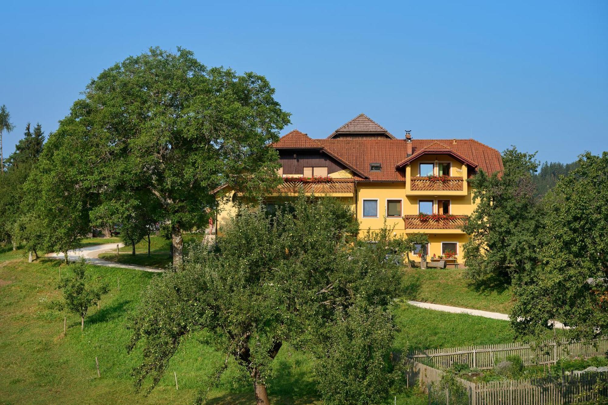 Apartments Organic Tourist Farm Gradisnik Prevalje ภายนอก รูปภาพ