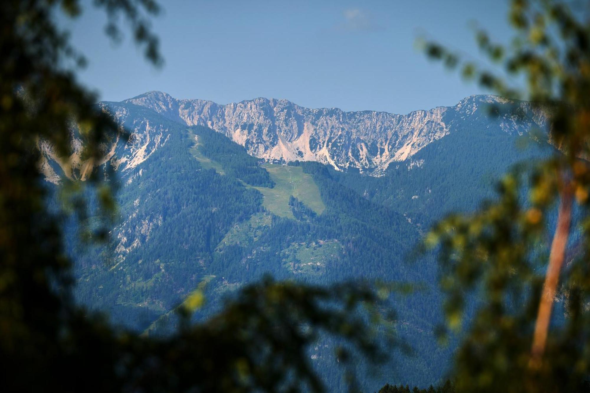 Apartments Organic Tourist Farm Gradisnik Prevalje ภายนอก รูปภาพ