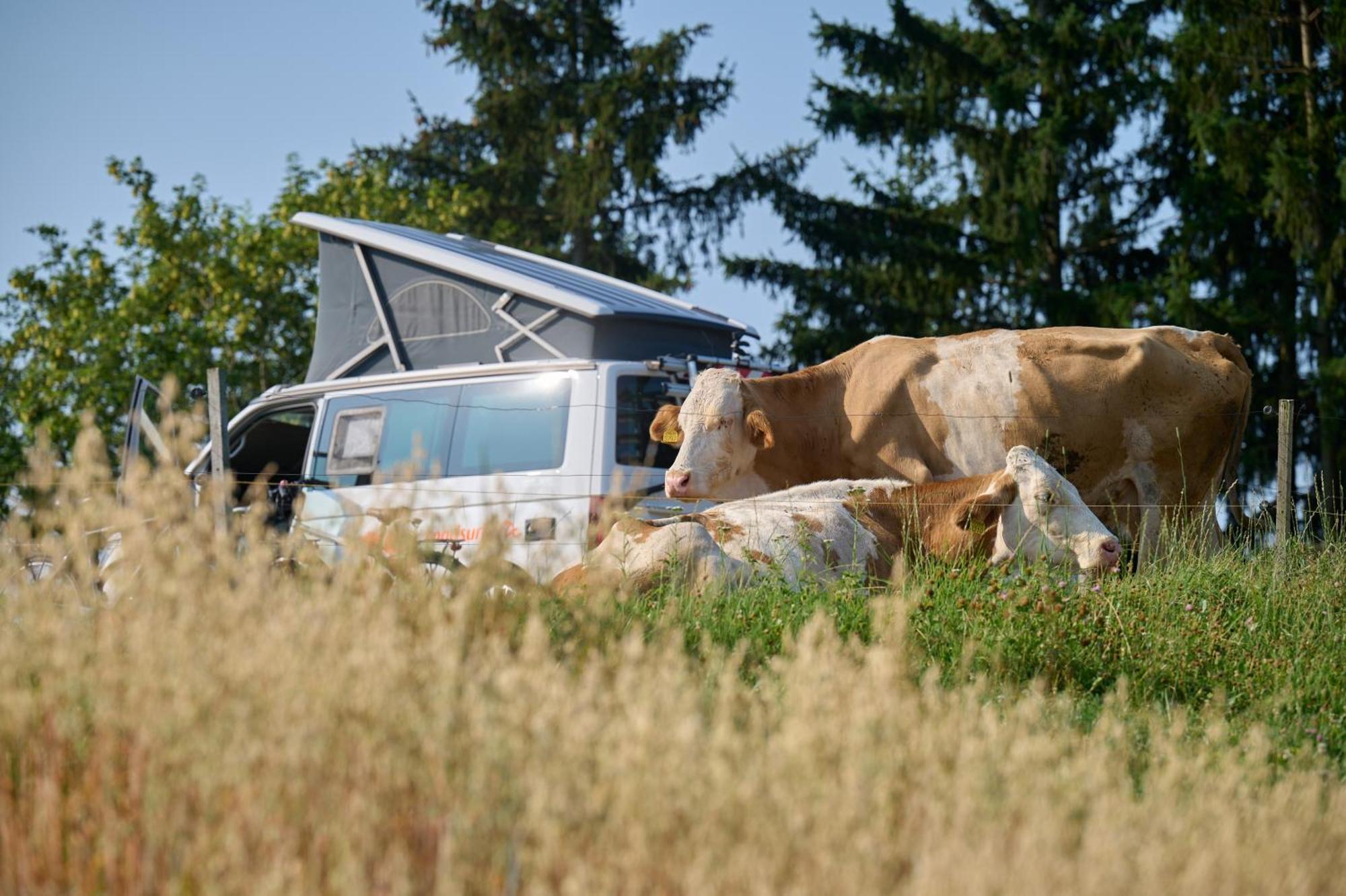 Apartments Organic Tourist Farm Gradisnik Prevalje ภายนอก รูปภาพ