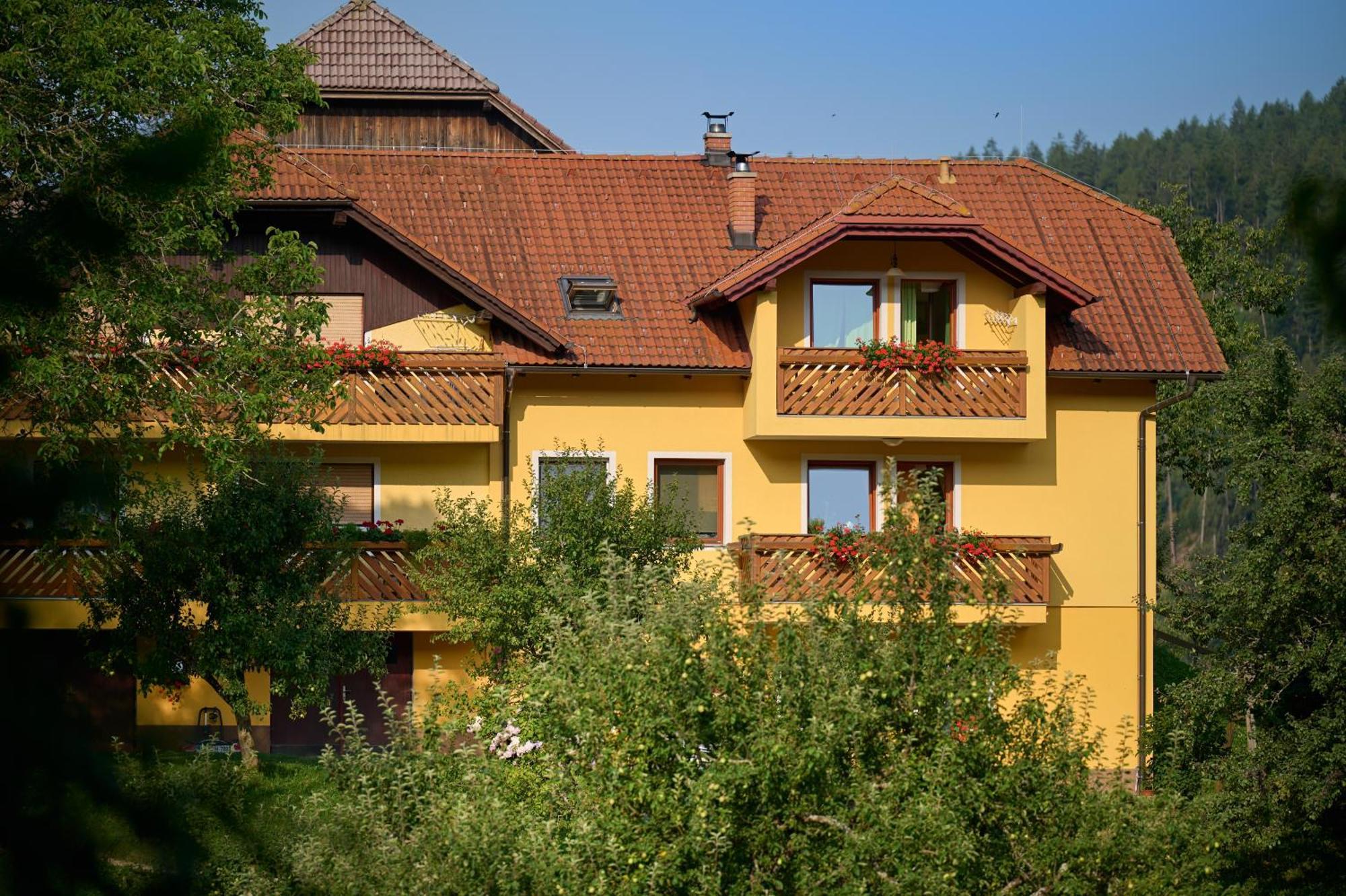 Apartments Organic Tourist Farm Gradisnik Prevalje ภายนอก รูปภาพ