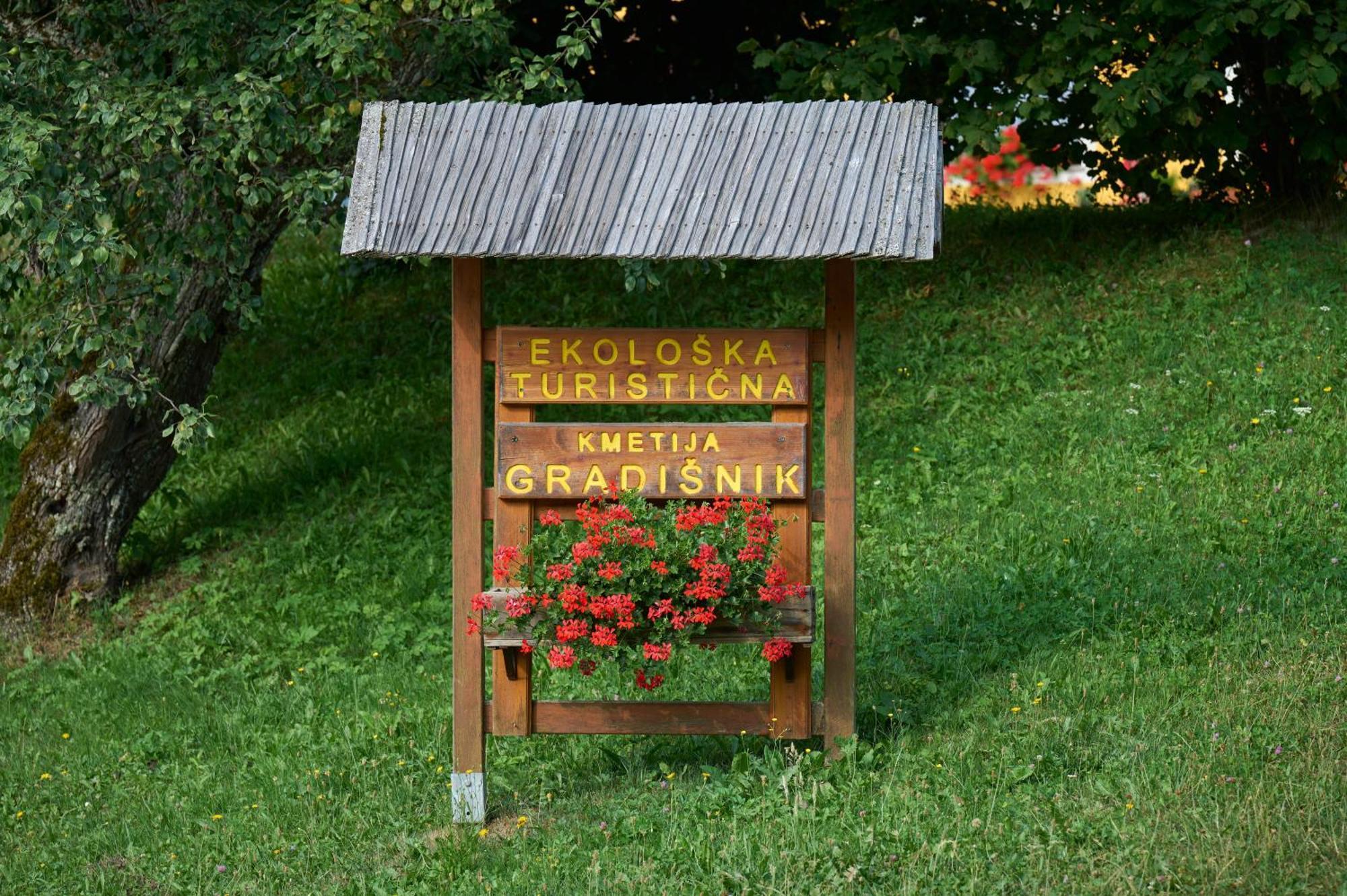 Apartments Organic Tourist Farm Gradisnik Prevalje ภายนอก รูปภาพ