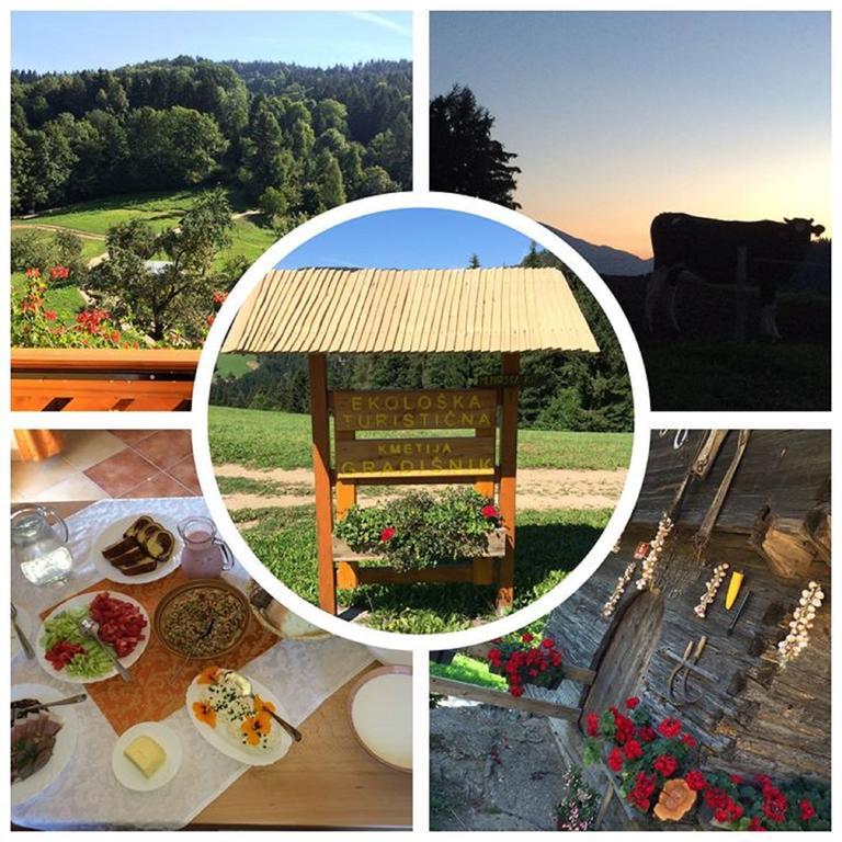 Apartments Organic Tourist Farm Gradisnik Prevalje ภายนอก รูปภาพ
