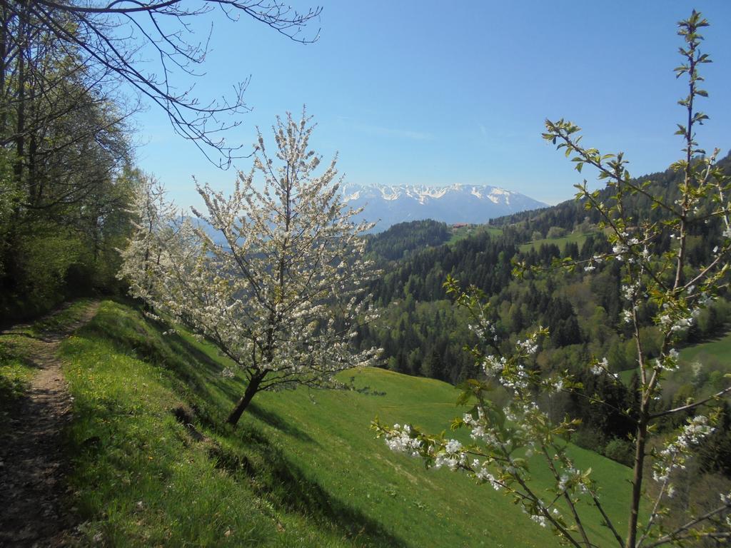 Apartments Organic Tourist Farm Gradisnik Prevalje ภายนอก รูปภาพ